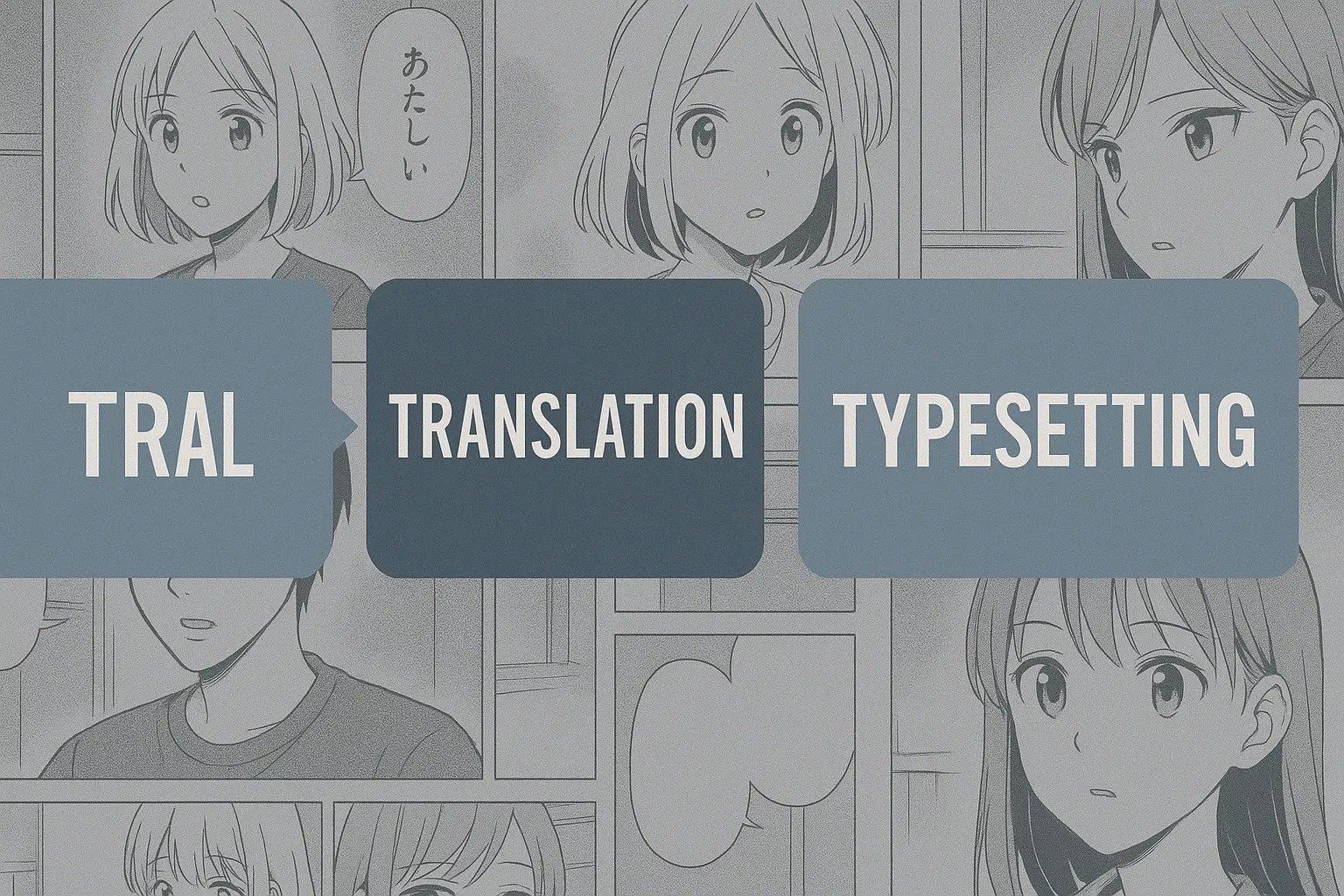 Diagram showing OCR → translation → layout write-back